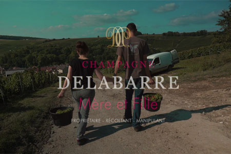 Visite à l'exploitation Champagne Delabarre