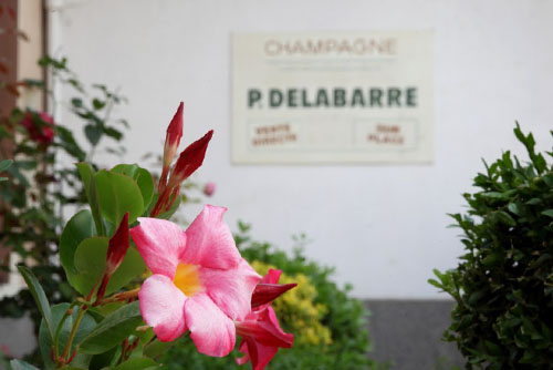 Maison de Champagne Delabarre à Vandières