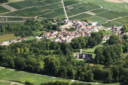 Vignoble Champagne Delabarre à Vandières